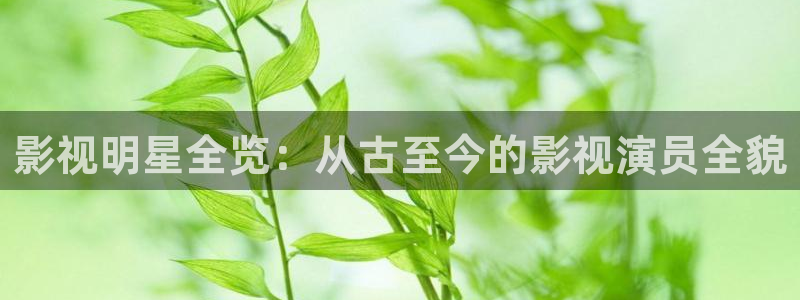 97国产在线视频公开