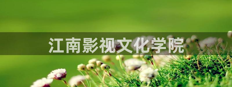 97午夜影视