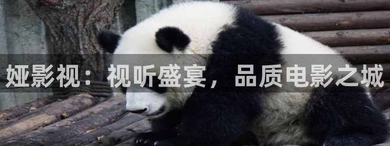 97超级碰在线视频