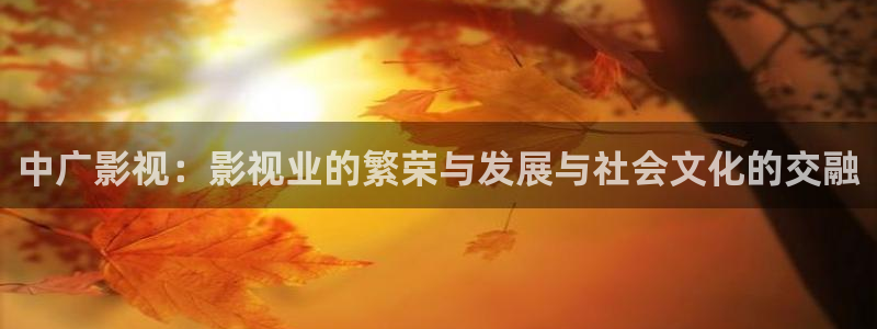 www.97视频
